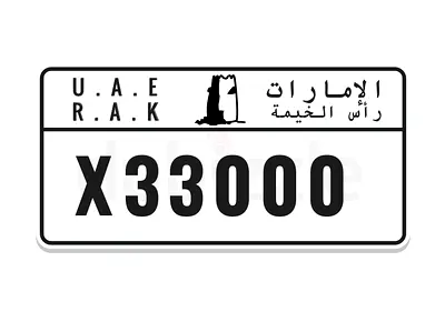 X 33000