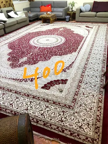 Large Persian-style area rug - excellent used condition
