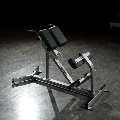 Hammer Strength Back Extension