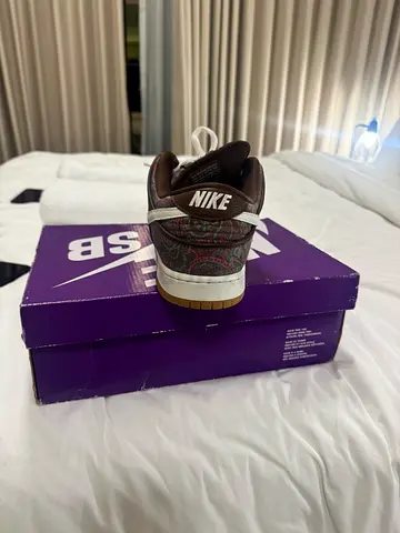 Nike SB Skate Shoe with original box - casual/dark color