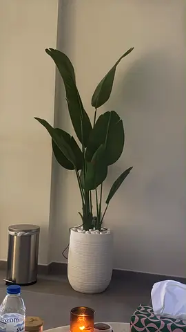 Large artificial potted bird of paradise plant in white pot