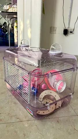 Small transparent hamster/rodent cage with accessories