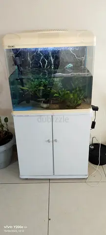 Aquarium for urgent sale 200