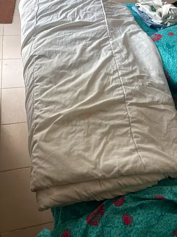 Free IKEA decor canopy and duvet