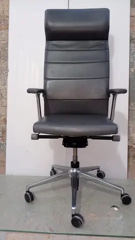 Sedus Crossline prime swivel chair