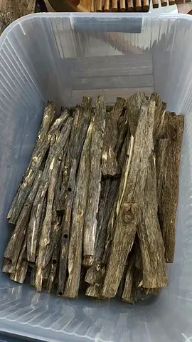 Natural Agarwood / Oud Chips - Assorted Pieces for Burning or Fragrance