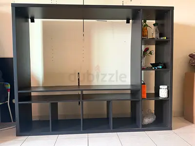 TV unit