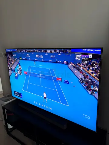 Samsung TV 65in
