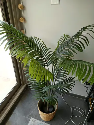 Artificial palm plant in woven pot - good condition