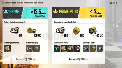 In-game Prime / Prime Plus subscription screenshot (for listing visuals)