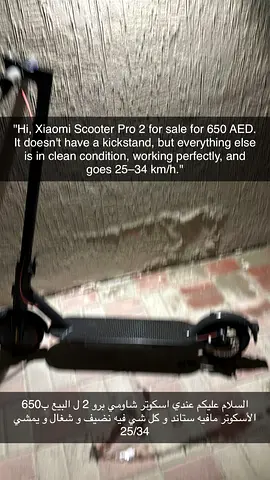Xiaomi Scooter Pro 2 — Good Condition, 25-34 km/h, No Kickstand