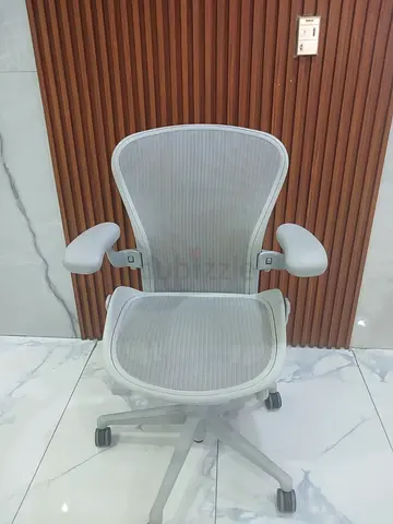 Ergonomic Mesh Office Chair with Adjustable Arms - Light Grey