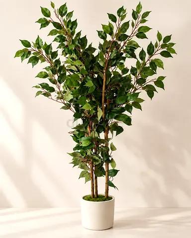 Tall Artificial Ficus Tree in White Pot - Ready to Decorate