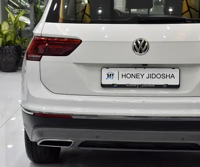 2019 Volkswagen TIGUAN 照片 8