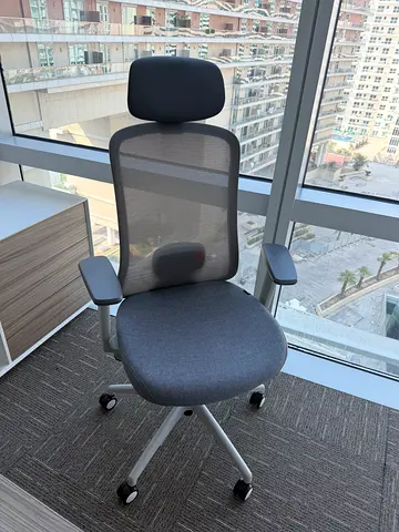Ergonomic Mesh Executive Office Chair with Headrest — Like New