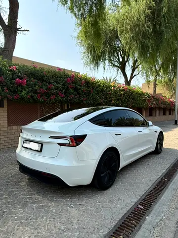 2024 Tesla MODEL 3 照片 3