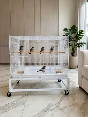 Bird cage
