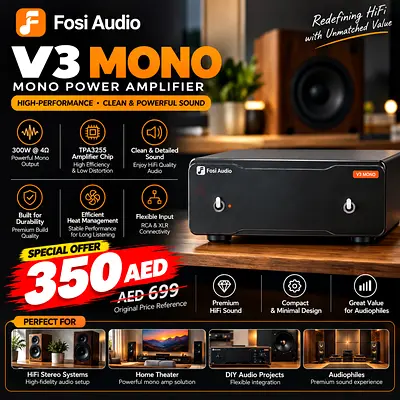 Mono Amplifiers