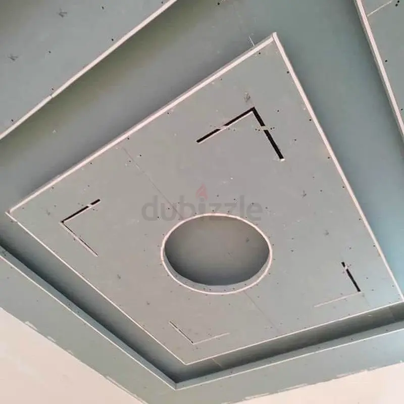 DPV_View_Image_2