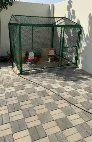 Large Outdoor Metal Chicken Coop/Cage with Feeders