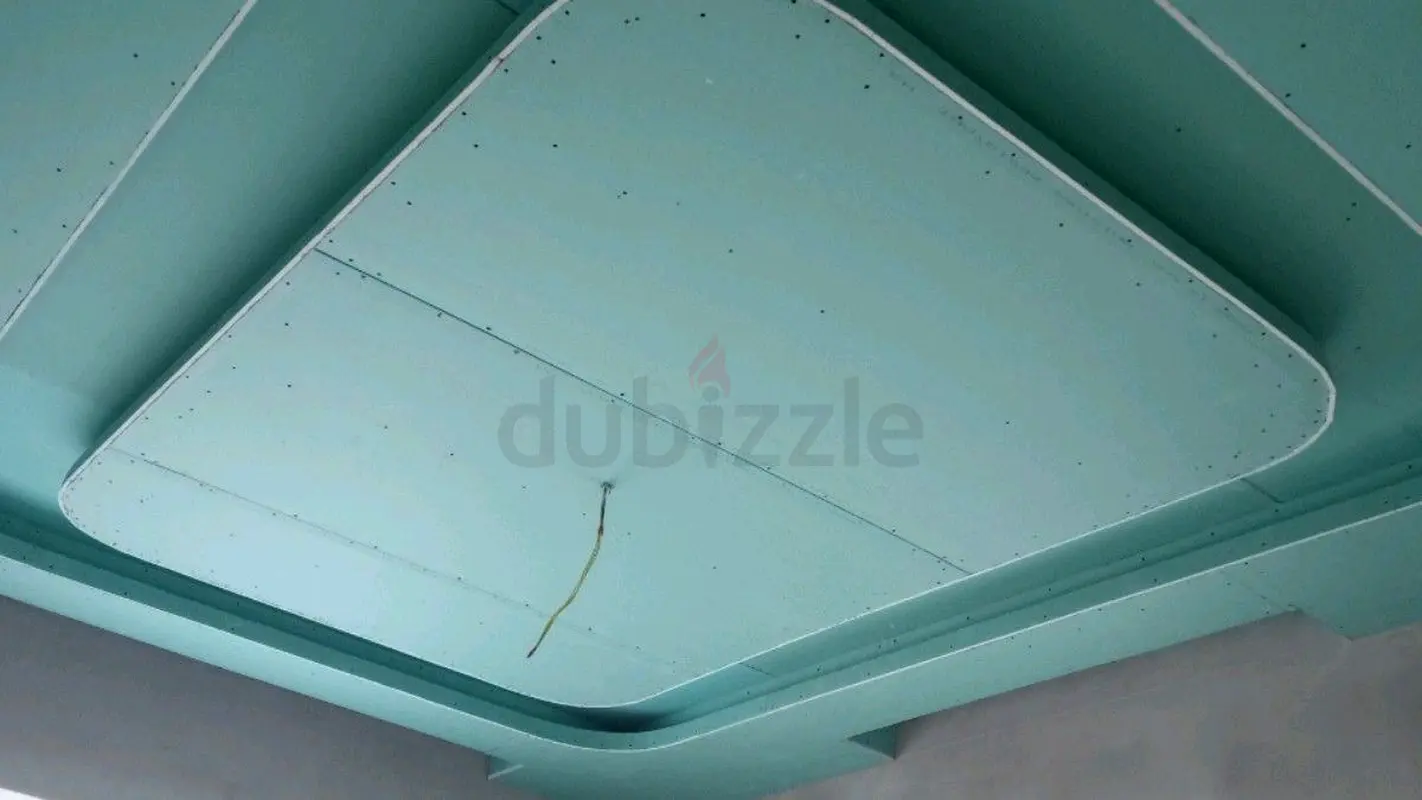 DPV_View_Image_0