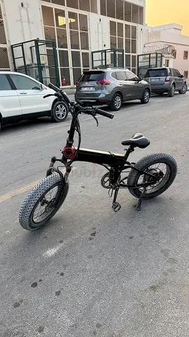 Rattan e-bike has no problems