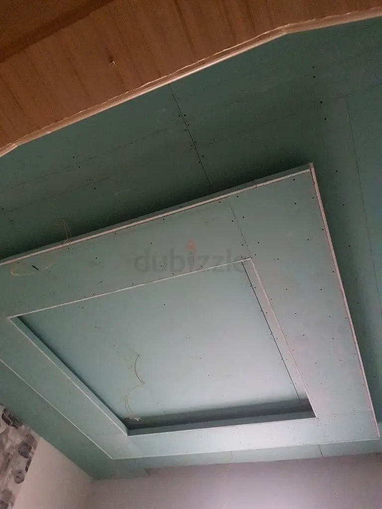 DPV_View_Image_2