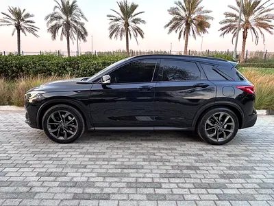 2019 Infiniti QX50 照片 5