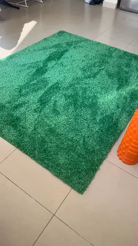 Green Shaggy Area Rug - new