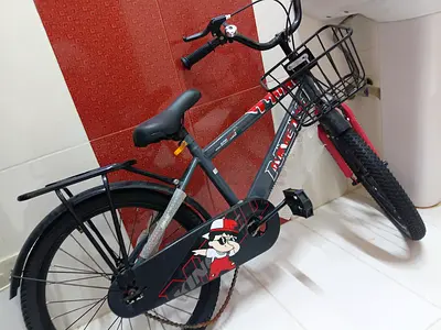 My brothers small bike with broken chains