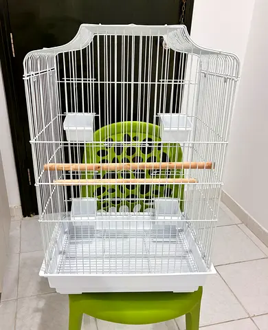 White metal bird cage with perches and feeders - brand new
