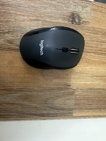 Mouse