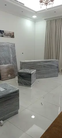 Professional Movers and Packers Dubai | Affordable Moving Service
