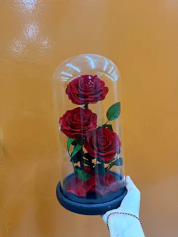 Forever rose gift