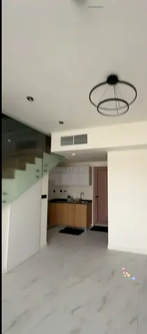 New Fancy One Bedroom loft-Direct From Owner