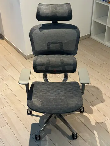 Home Centre Ergonomic Mesh Office Chair – Adjustable Headrest & Lumbar Support