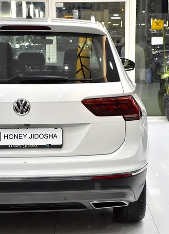 2019 Volkswagen TIGUAN 照片 9