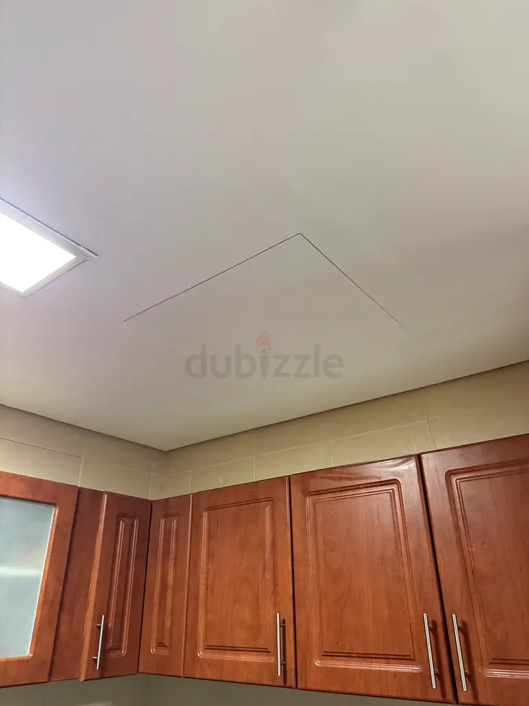 DPV_View_Image_1
