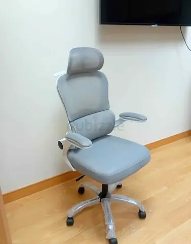 Ergonomic Office Chair with Headrest — Light Grey