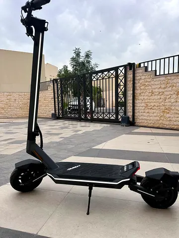 Electric scooter Punk Rider