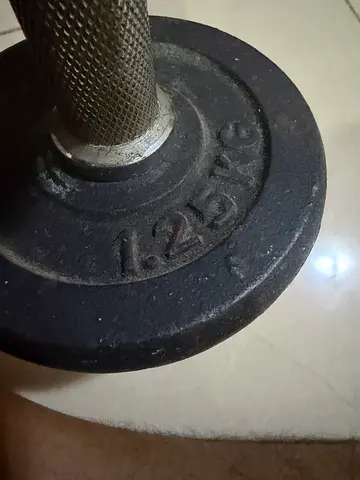 Adjustable dumbbell bar with 1.25kg cast iron plates (pair)