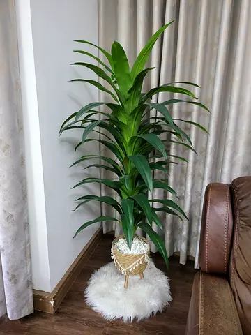 Artificial Plant