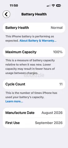 iPhone Pro Burgundy 1TB