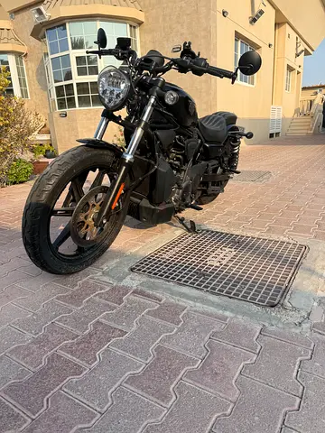 2023 Harley-Davidson Nightster — 1,677km Only | Immaculate Condition