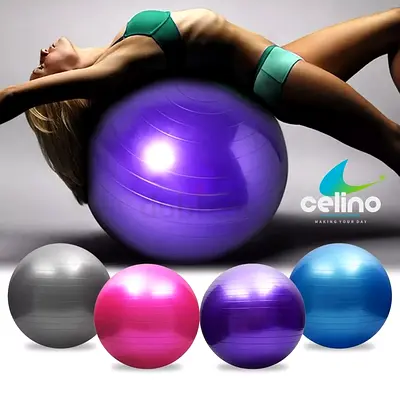 Gym Ball Exercise Fitness Yoga Fitness Pregnancy Swiss Pilates 55cm 65cm 75cm