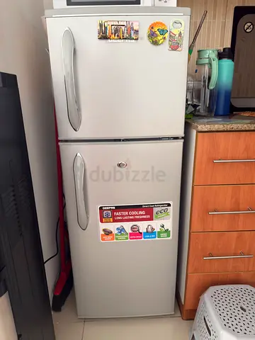 Fridge/refrigerator