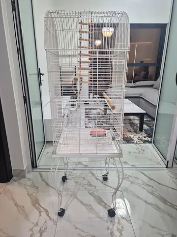 bird cage