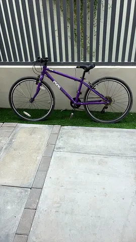 Frog bike 69’