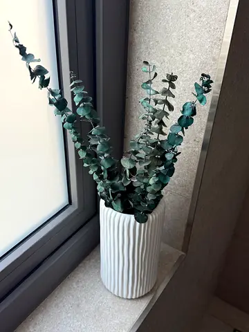 Tall Faux Eucalyptus Plant in White Ribbed Pot