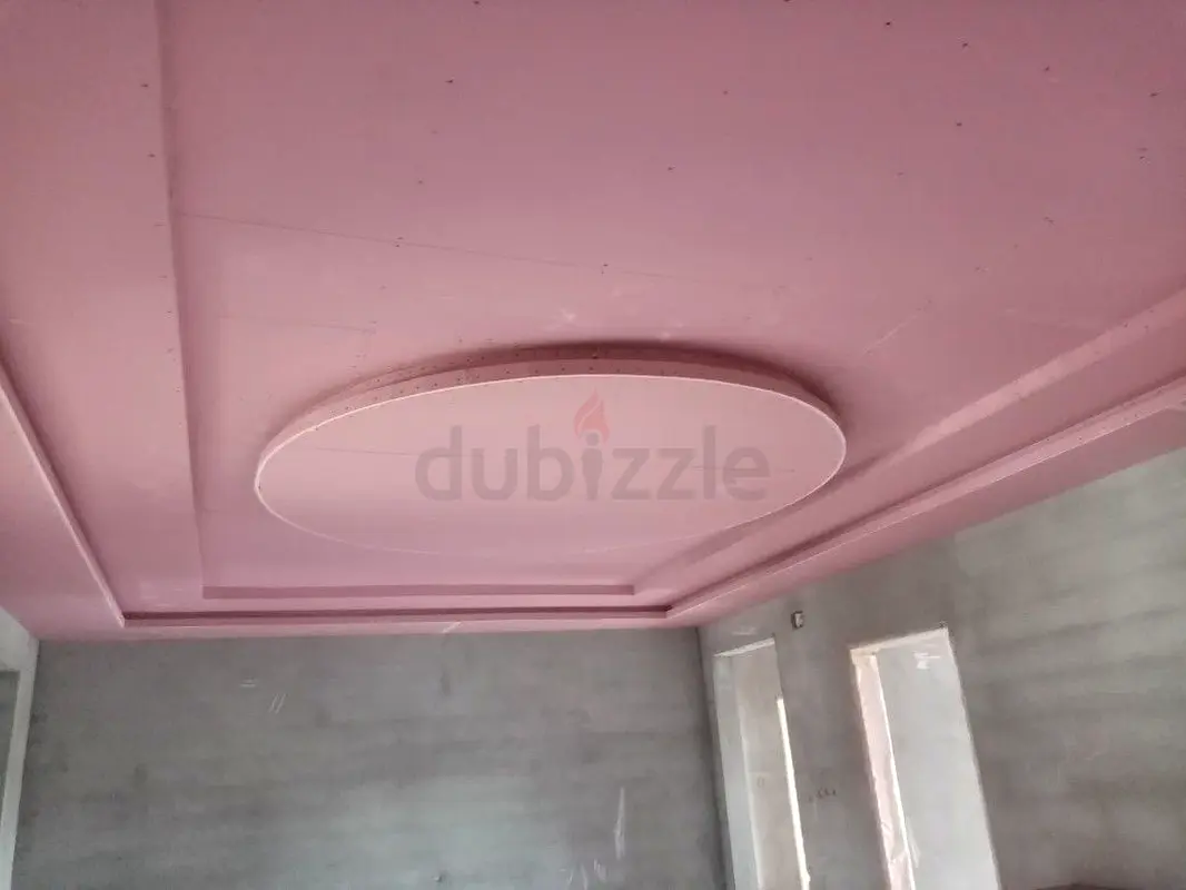 DPV_View_Image_1
